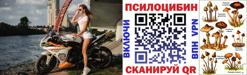 Галлюциногенные грибы мицелий Рубцовск
